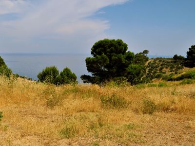 Gorgona – Foto 4 von 9