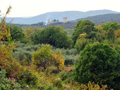 Lecceto (Augustiner-Eremie) – Foto 8 von 12